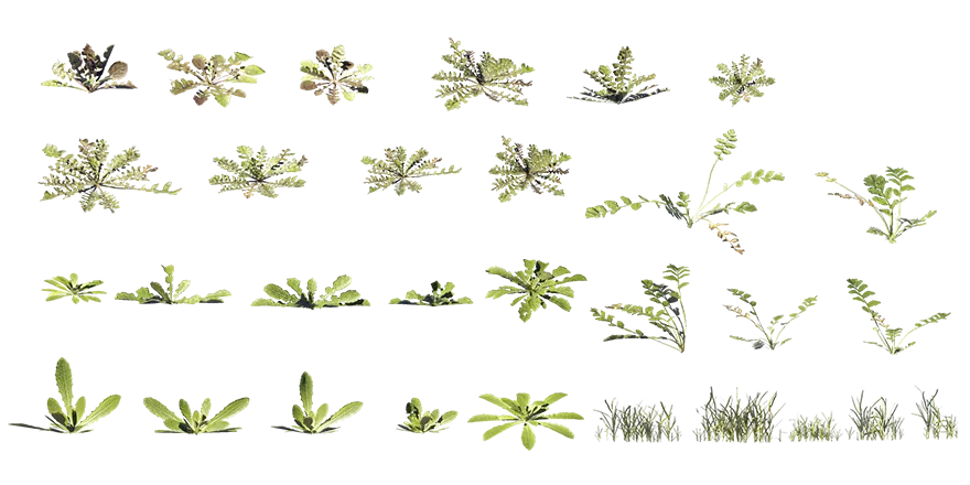 curbside weeds 002 — Скачать