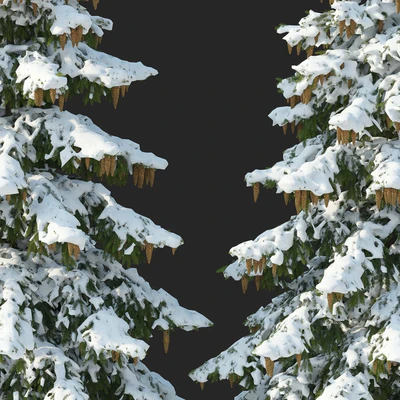 Winter spruces (Winter spruces) — Ver 2