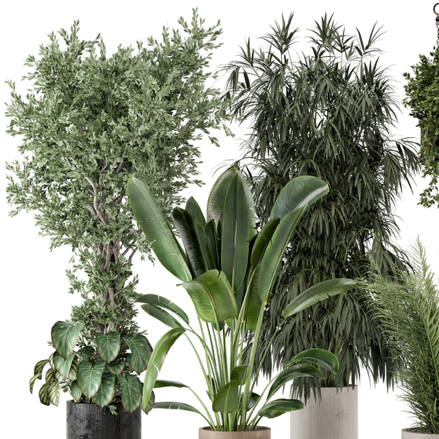 Indoor Plants in Ferm Living Bau Pot Large - Set 474 — Descargar