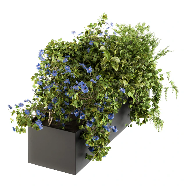 Outdoor Plant Set 208 - Plant Box Blue Flower — Descargar