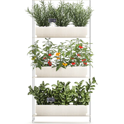 Plant collection 1411 — View 5