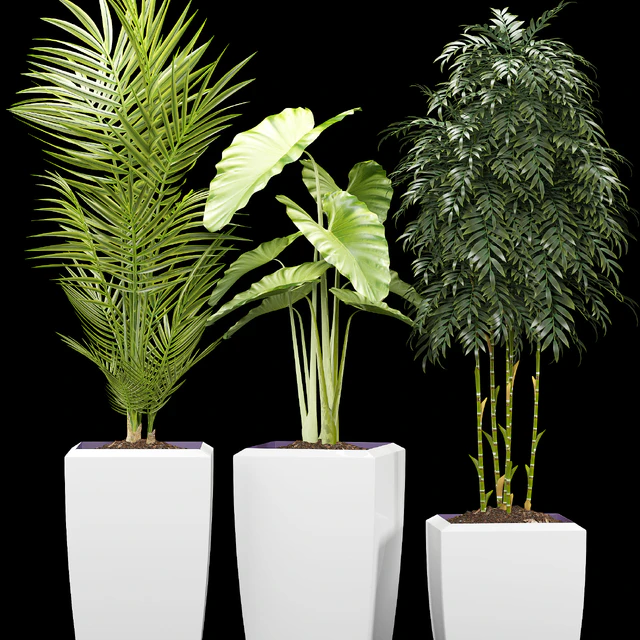PLANTS 127 — Скачать