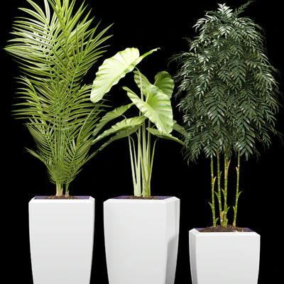 PLANTS 127 — Вид 2