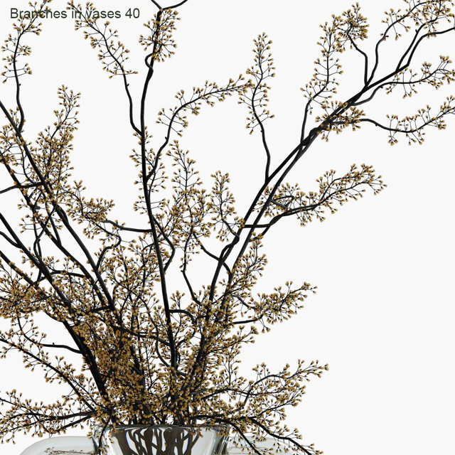 Branches in vases 40 — Descargar