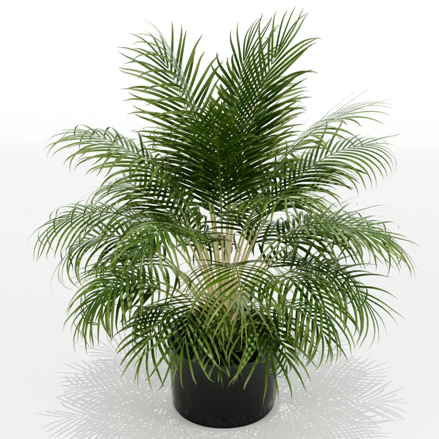 Plants collection 149 — Скачать