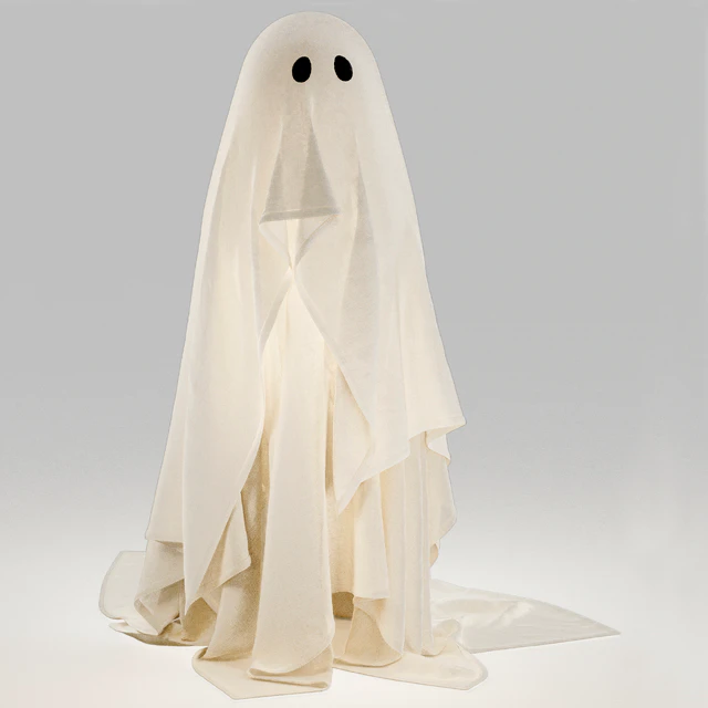 Pottery Barn ghosts — Descargar