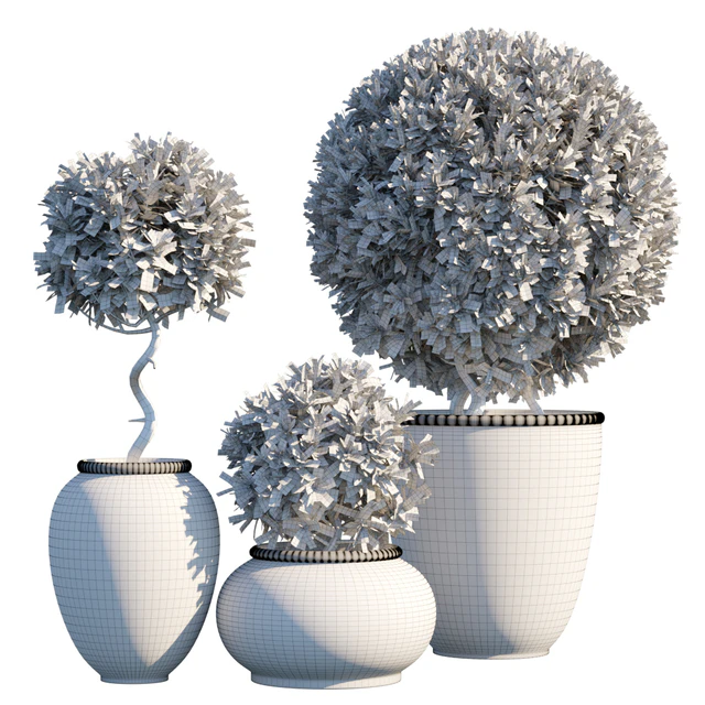Plant in pots #10 : Mediterranean — Скачать