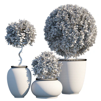 Plant in pots #10 : Mediterranean — Вид 2
