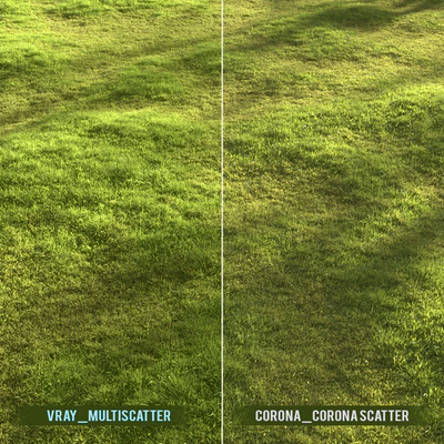 Garden grass — Ver 2