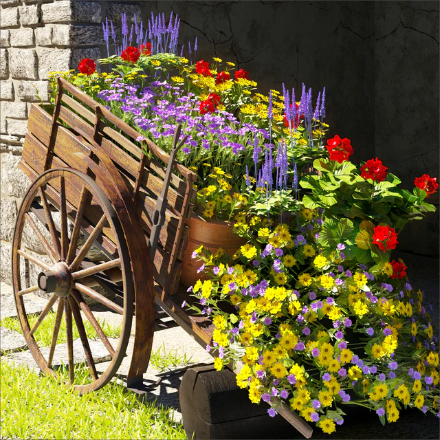 summer flower — Descargar
