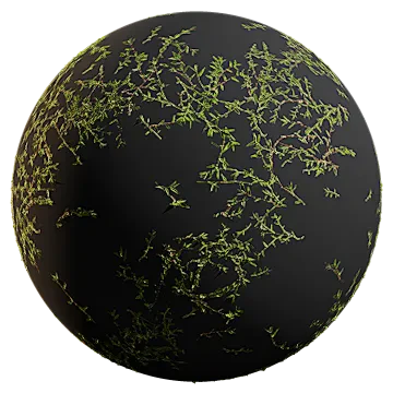 stone grass vine 002 — download