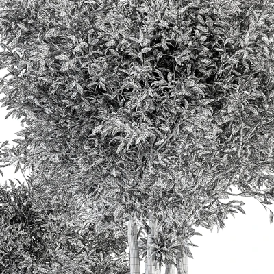 Outdoor Plant Set 322- Autumn Plant and Tree Set — Ver 3