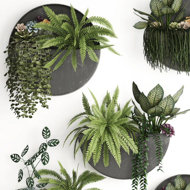 Vertical gardening. 56 Garden, wall decor, ferns, succulents, black metal shelf, flowers, loft, hanging plants, hanging down — Descargar