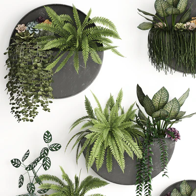 Vertical gardening. 56 Garden, wall decor, ferns, succulents, black metal shelf, flowers, loft, hanging plants, hanging down — Ver 2