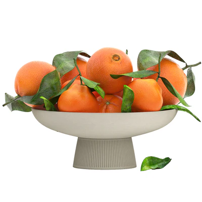 white bowl of oranges — Ver 1