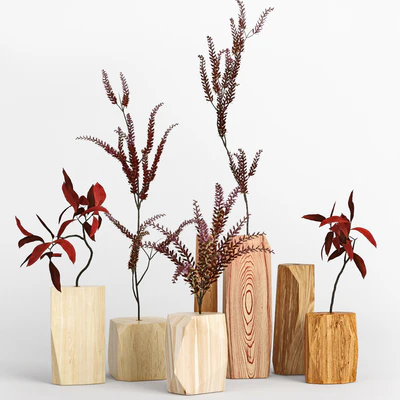 Wood — Вид 1