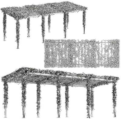 Pergola with Ivy v10 — Вид 2
