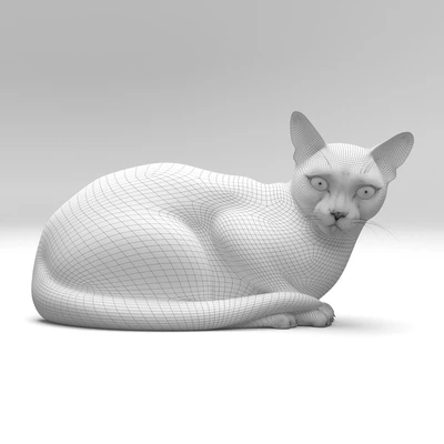 BENGAL CAT — Вид 3