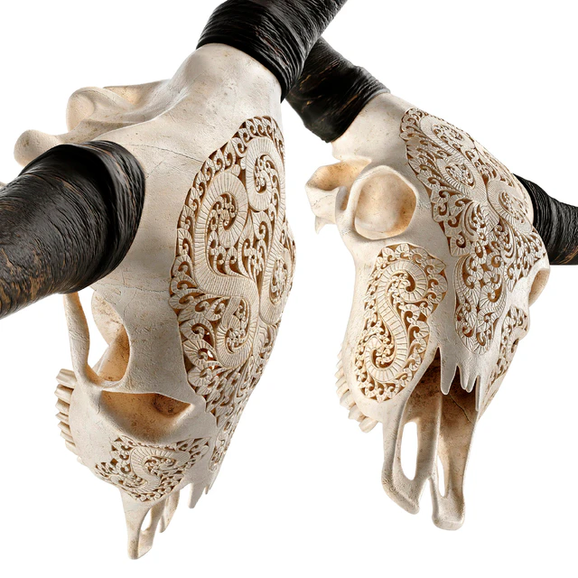 Carved cow skull — Скачать