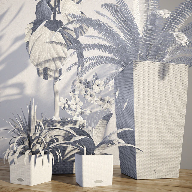 Smart pot Lechuza Cube, Cubico. Ficus lyrata. Palma Yucca. Fern — Descargar