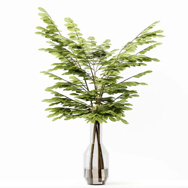 Collection Indoor Plants 037 — Descargar