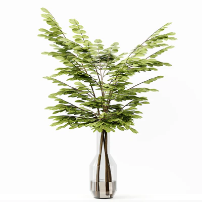 Collection Indoor Plants 037 — Ver 5