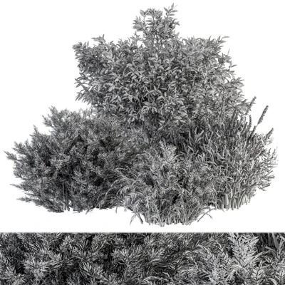 Mixed Plant Bush - Bush Set 37 — Вид 3