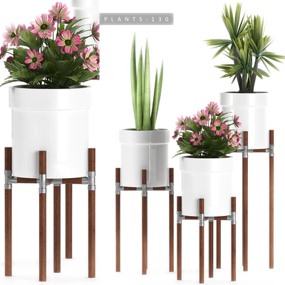 PLANTS 130 — Ver 1