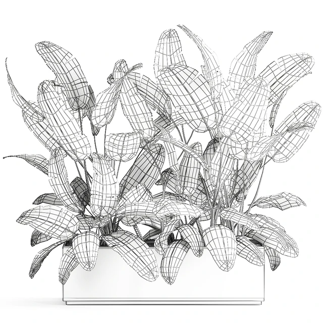 Lush exotic thickets of bushes banana palm ravenala, Strelitzia in a metal pot flowerbed. 866. — Descargar
