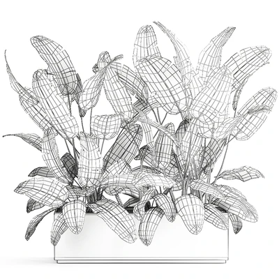 Lush exotic thickets of bushes banana palm ravenala, Strelitzia in a metal pot flowerbed. 866. — Ver 3