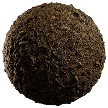 dried grass 014 — Скачать