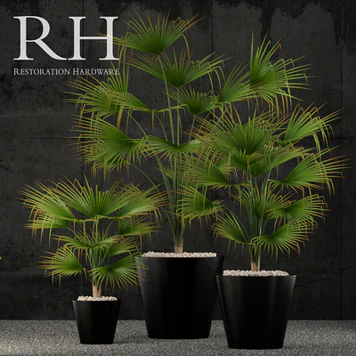 Restoration Hardware caldera planter — Ver 1