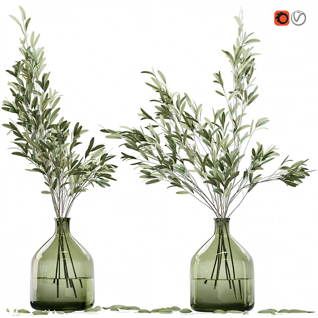 Olive stems in glass vase with water — Descargar