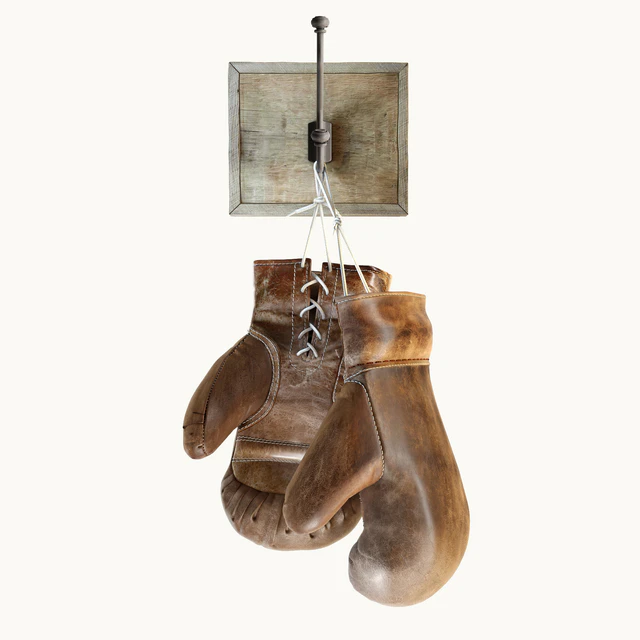 Restoration Hardware, Vintage Leather Boxing Gloves — Скачать