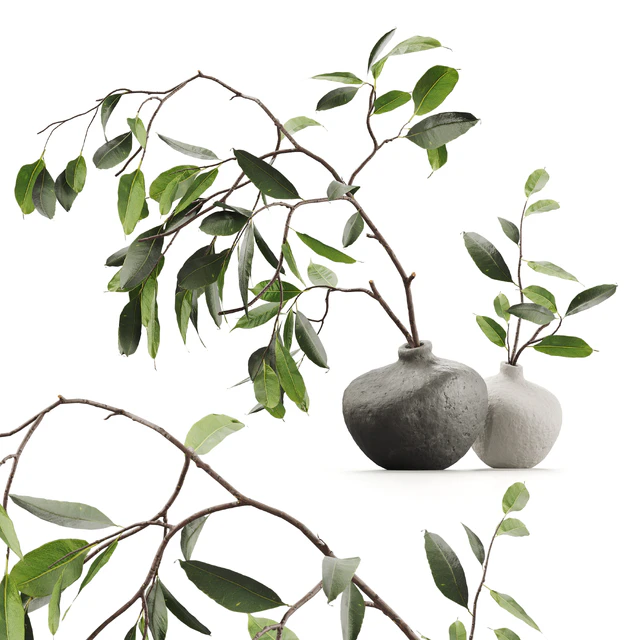 Branches in vases — Descargar