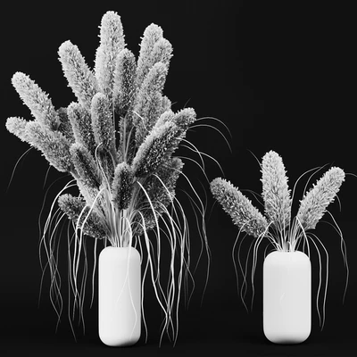 A bunch of Pampas 2 — Ver 3