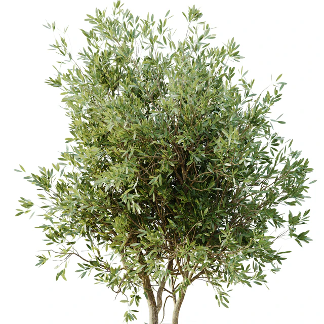 outdoor plant set 05 — Скачать