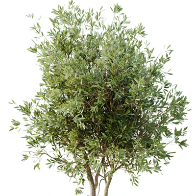 outdoor plant set 05 — Вид 3