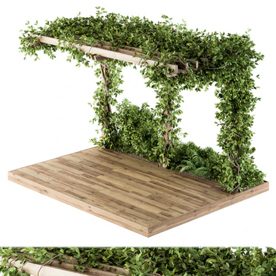 Ivy Plants on Pergola — Ver 1
