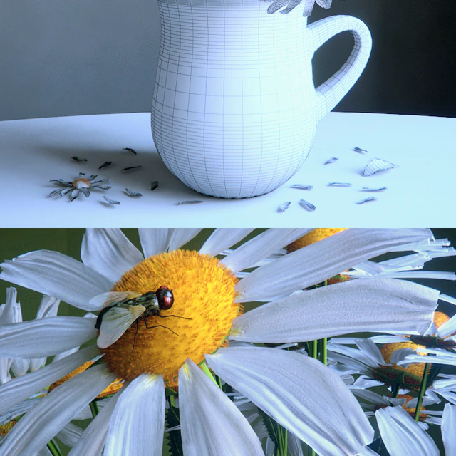 Bouquet of daisies — Descargar