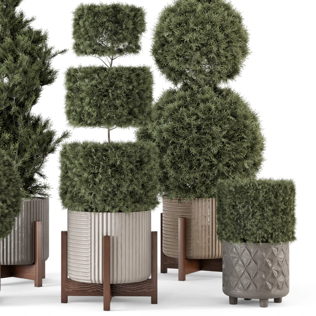Outdoor Pine Plants  in Concrete Pot - Set 522 — Скачать
