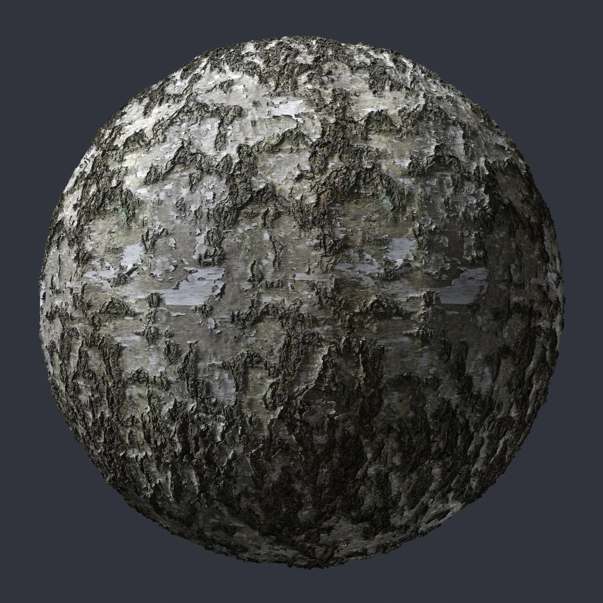 birch bark 007 — Descargar