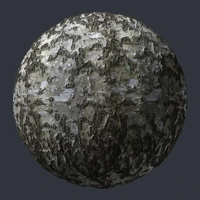 birch bark 007 — Descargar