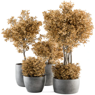 Outdoor Plant Set 322- Autumn Plant and Tree Set — Ver 1