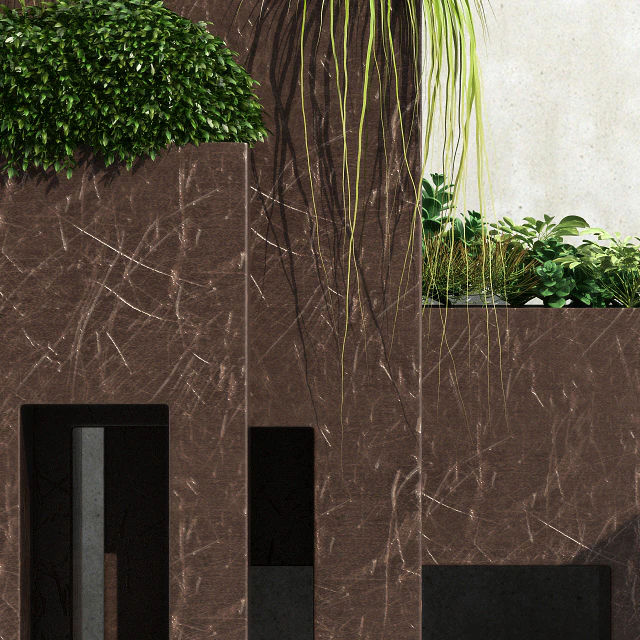 Room plants 13 — Скачать