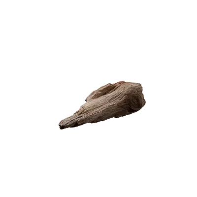 wood debris 008 — Descargar