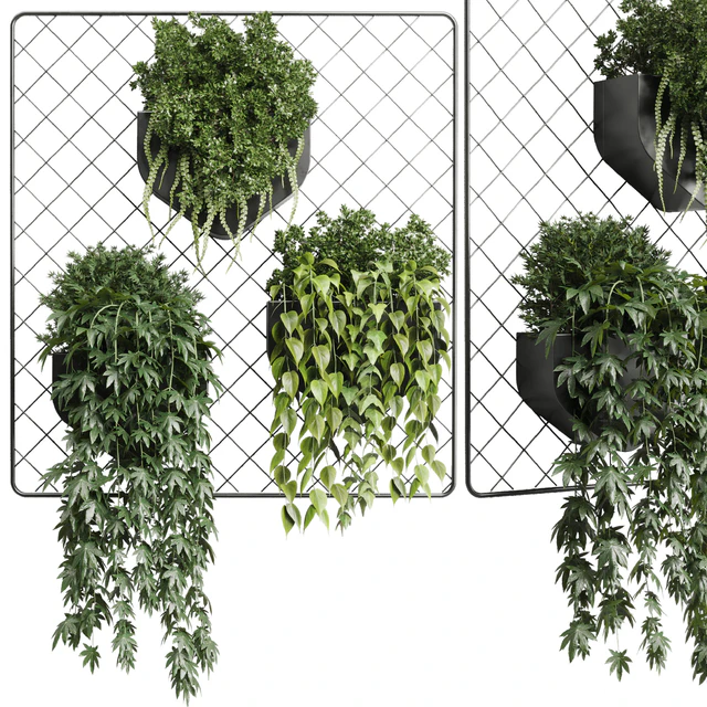 wall plant - hanging plants collection Indoor plant 293 metal dirt vase — Descargar