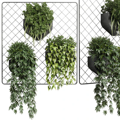 wall plant - hanging plants collection Indoor plant 293 metal dirt vase — Ver 1