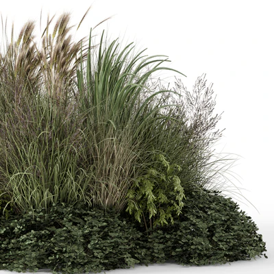 Outdoor Plants Bush -Bush Set 1644 — Вид 6