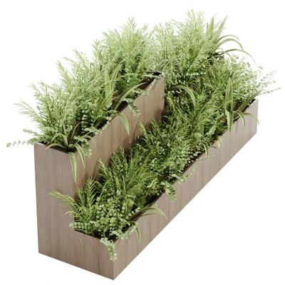 indoor plant Set 21 — Вид 3
